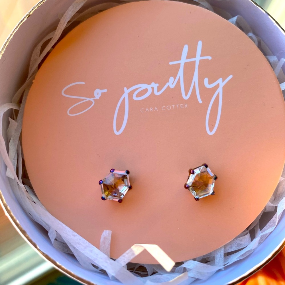Jilly Box Earrings NWT So Pretty Cara Cotter